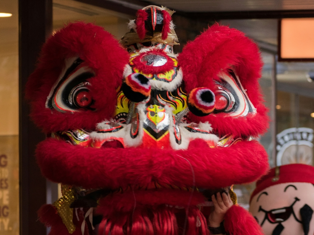 LION DANCING Image